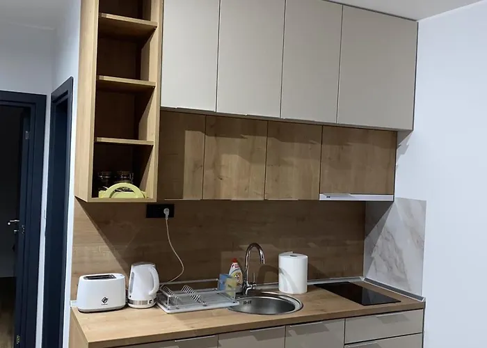 Lawa Kopaonik شقة Čajetina